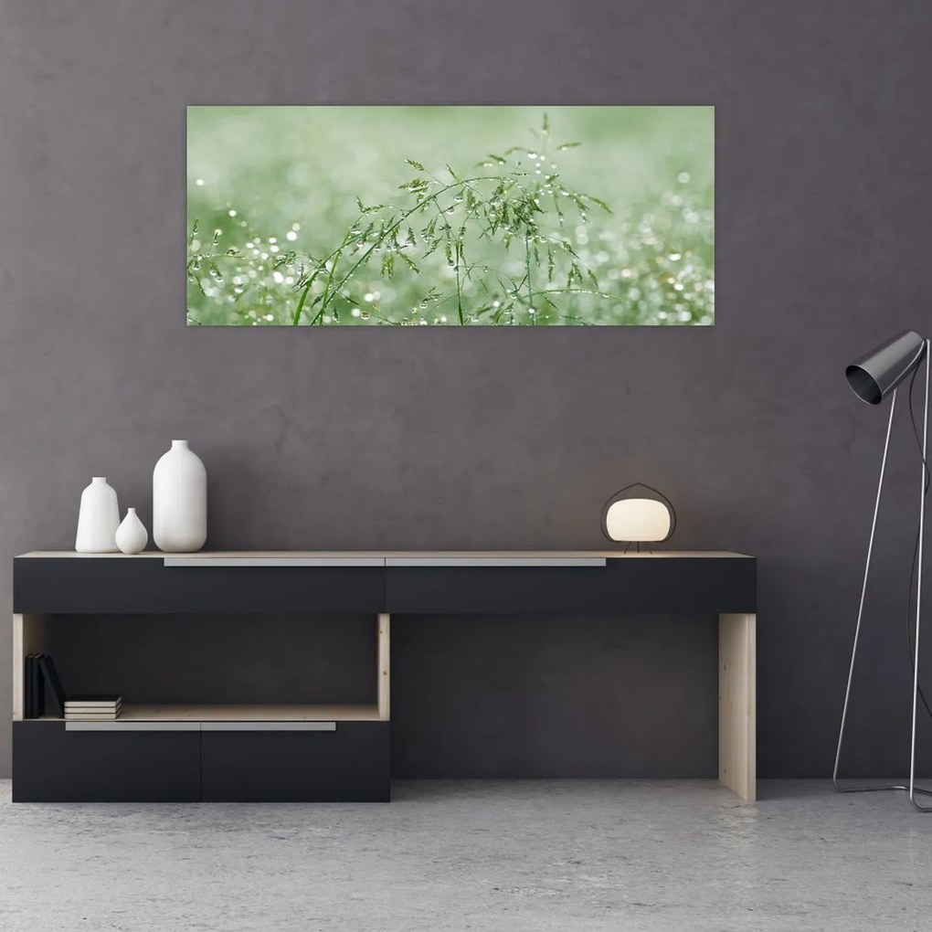 Tablou - Roua dimineții pe firele de iarbă (120x50 cm)