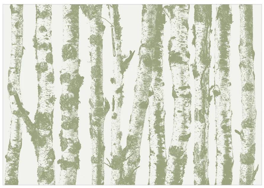 Fototapet - Stately Birches - Third Variant