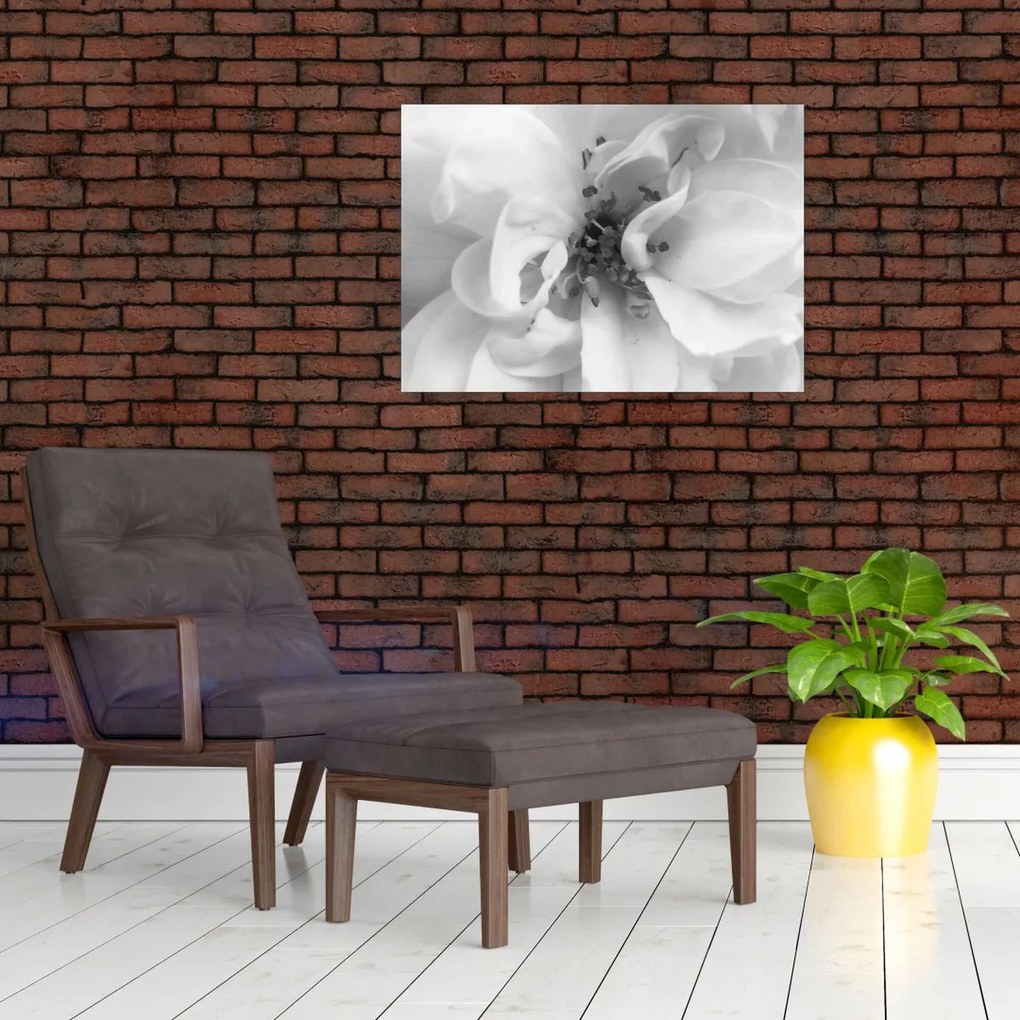 Tablou - Floare,alb-negru (70x50 cm)
