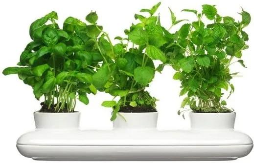 Ghiveci din porțelan pentru plante Sagaform Trio Herb