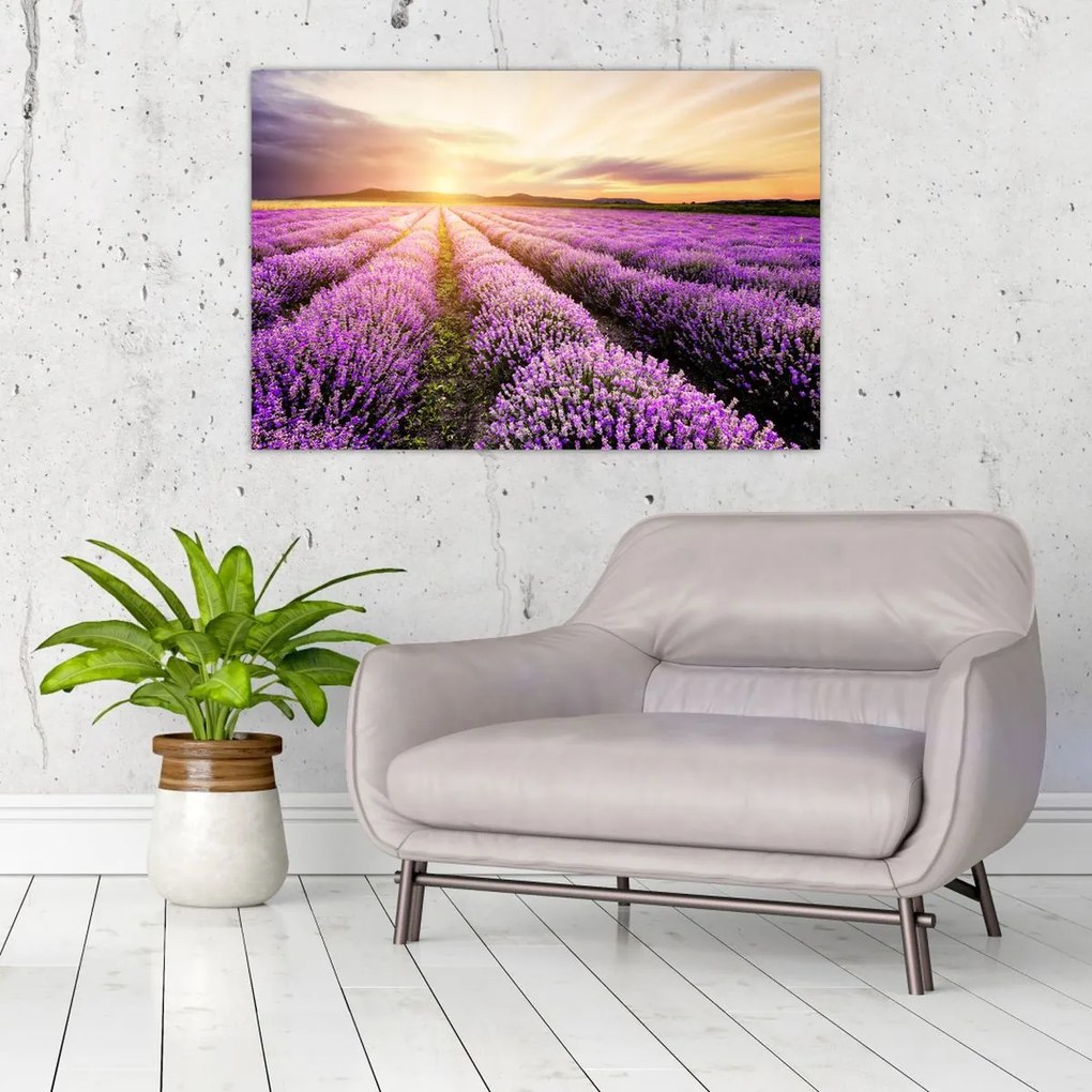 Tablou - Răsărit de soare în câmp de lavandă (90x60 cm)