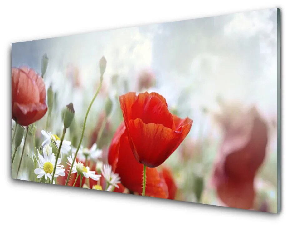 Tablouri acrilice Flori Floral Roșu Galben Alb