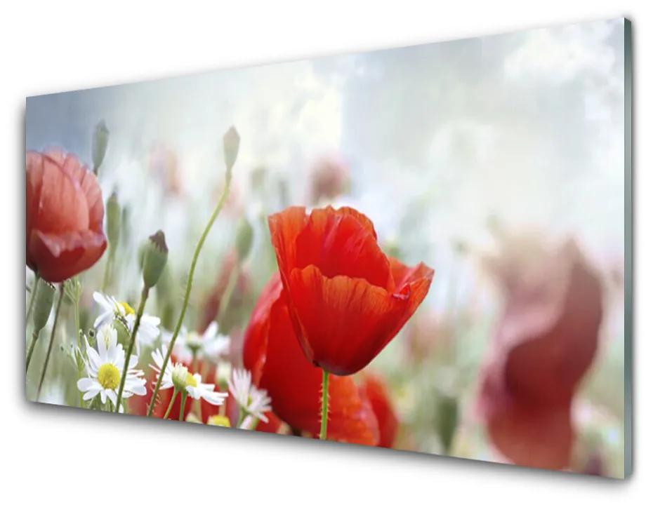 Tablou pe sticla acrilica Flori Floral Roșu Galben Alb