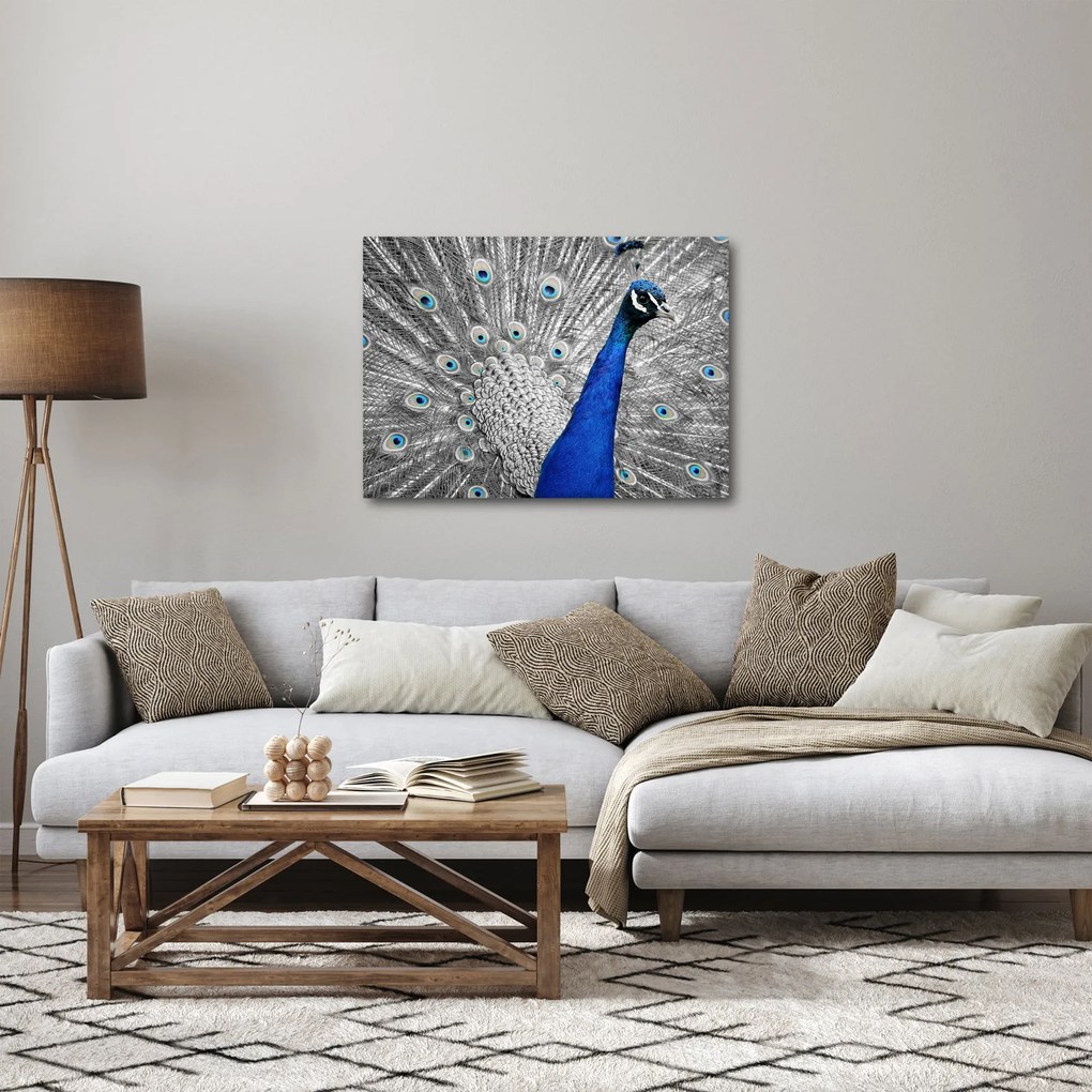 Tablou - păun albastru (70x50 cm)