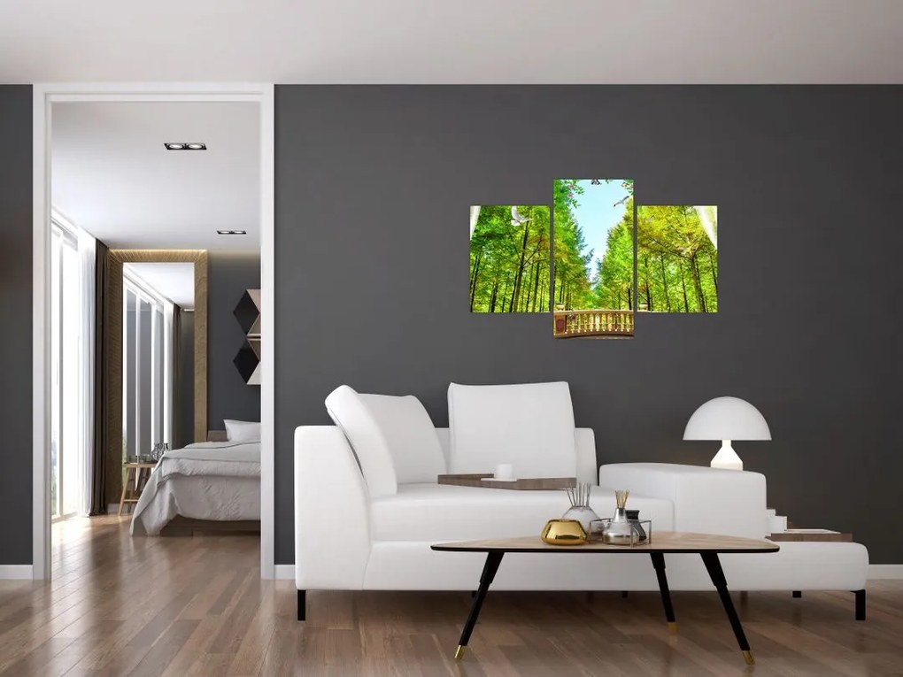 Tablou - Privire spre pădure (90x60 cm)