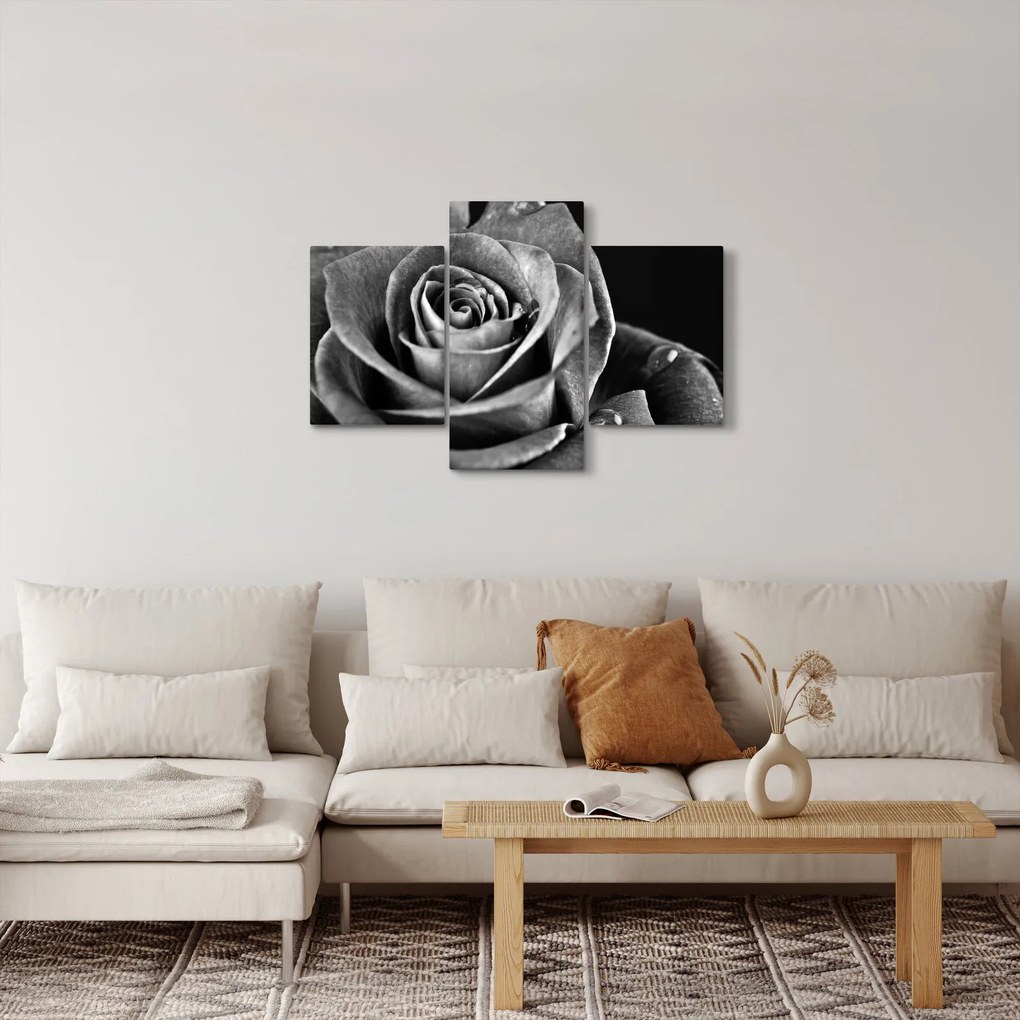 Tablou - Trandafir,alb-negru (90x60 cm)