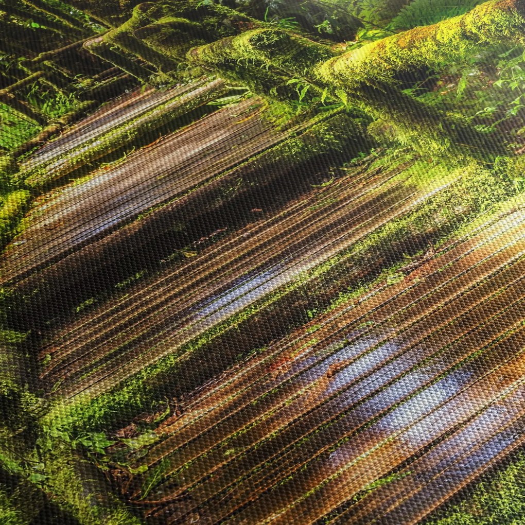Tablou cu scări într-o pădure tropicală (150x105 cm)