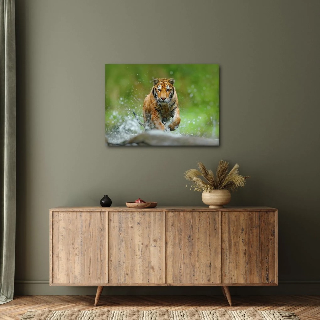 Tablou - Tigru care aleargă (70x50 cm)