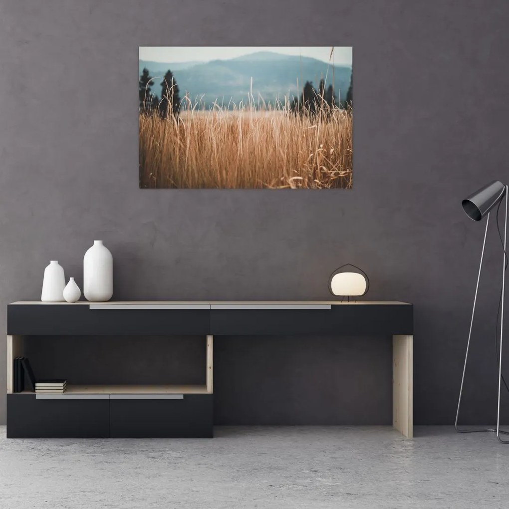Tablou - detaliu spațiului de luncă (90x60 cm)