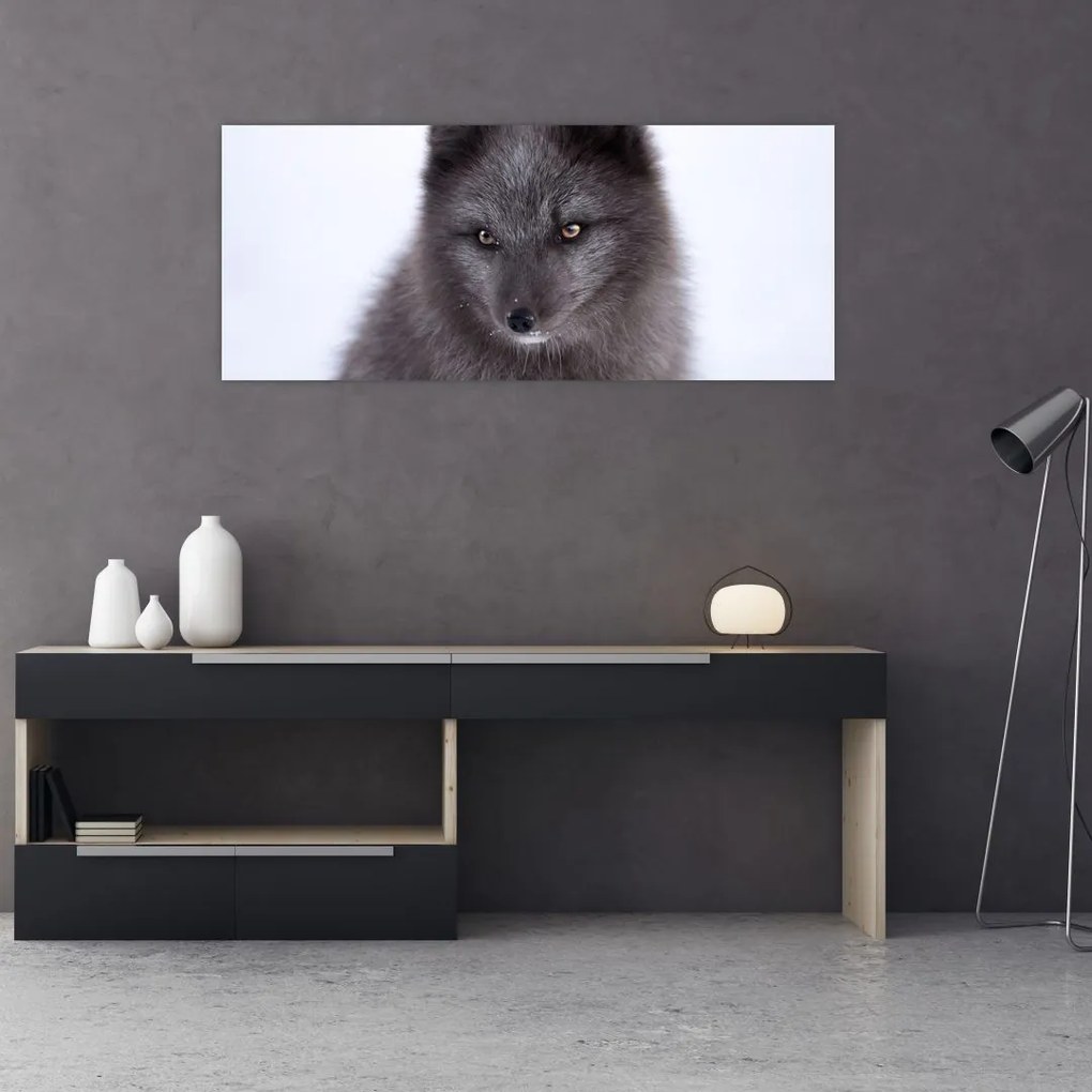Tablou cu vulpe polară (120x50 cm)