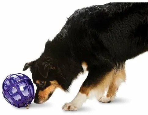 Jucărie pentru câini Kibble Nibble XS/S