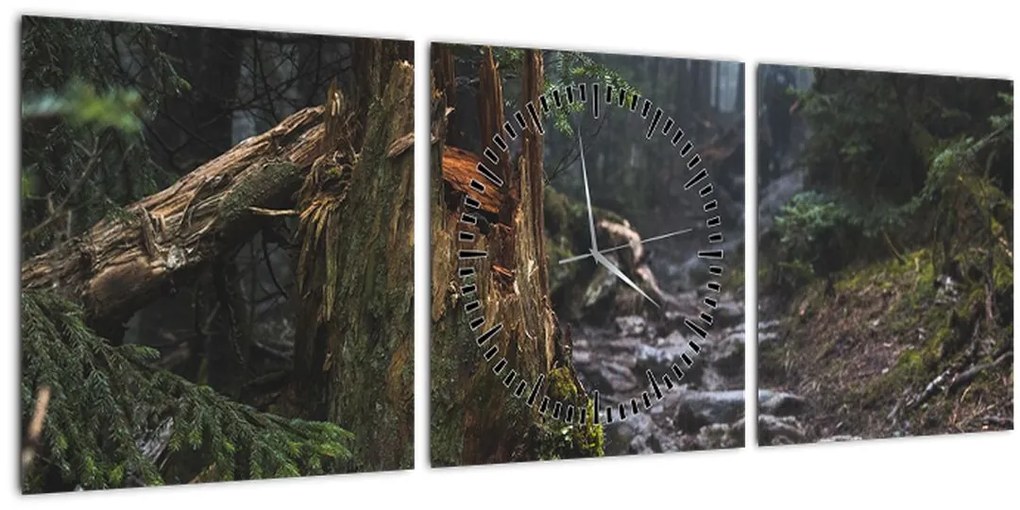 Tablou - În pădure (cu ceas) (90x30 cm)