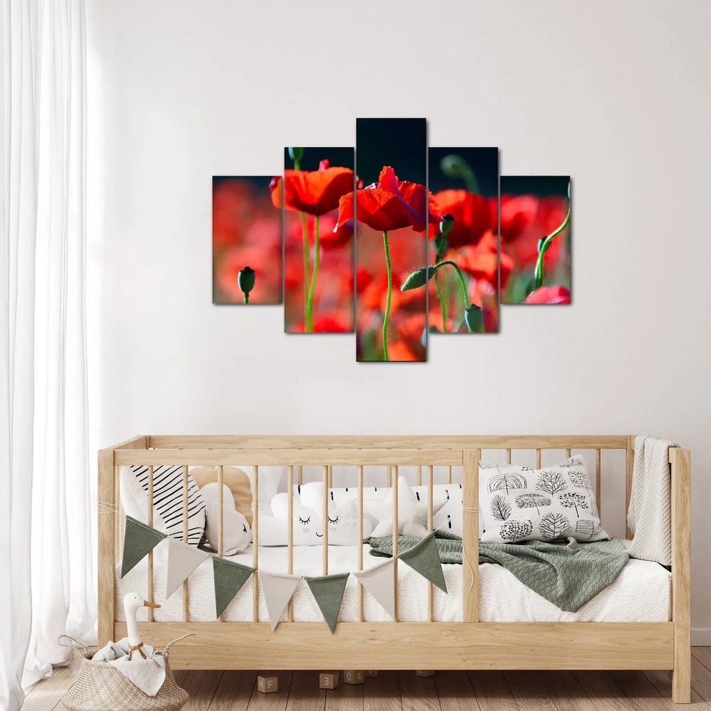 Tablou - flori de maci (150x105 cm)