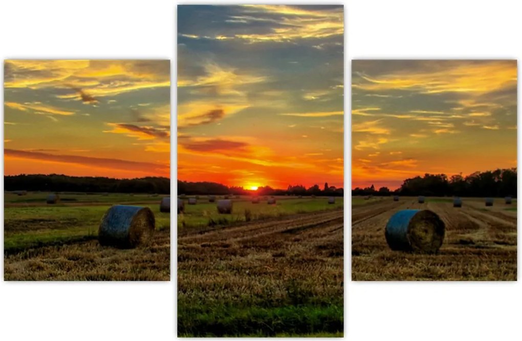 Tablou - Baloți din sat (90x60 cm)