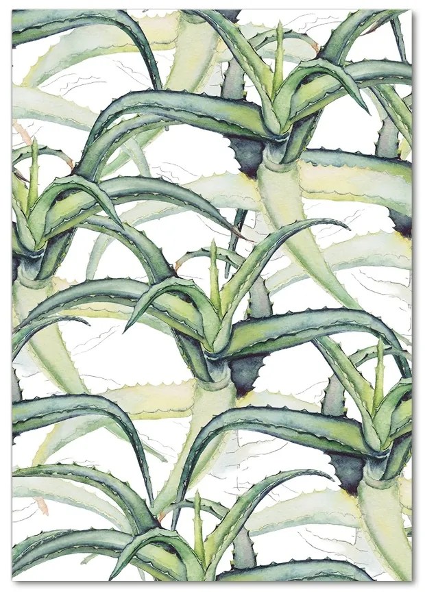 Tablou Printat Pe Sticlă Aloe