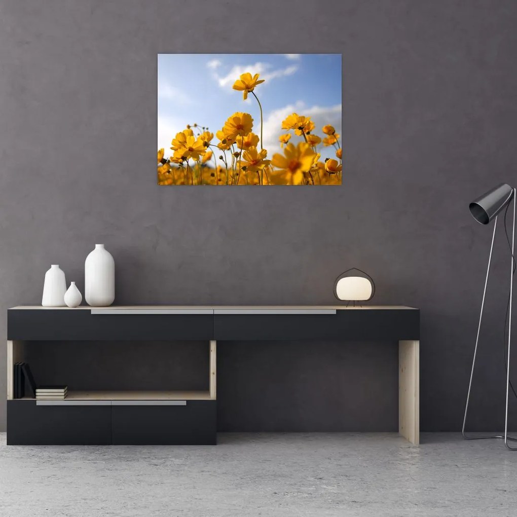 Tablou pe sticlă - Câmp cu flori galben deschis (70x50 cm)
