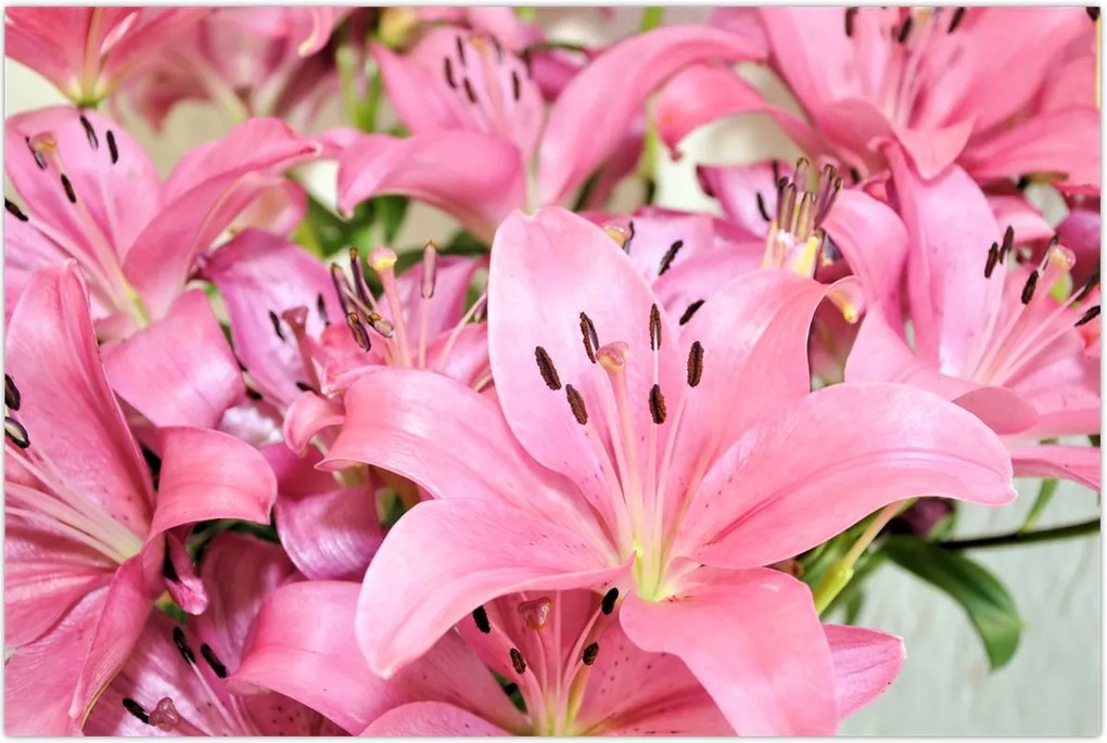 Tablou - Liliac roz (90x60 cm)