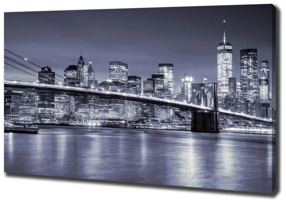 Tablou canvas Manhattan new york city