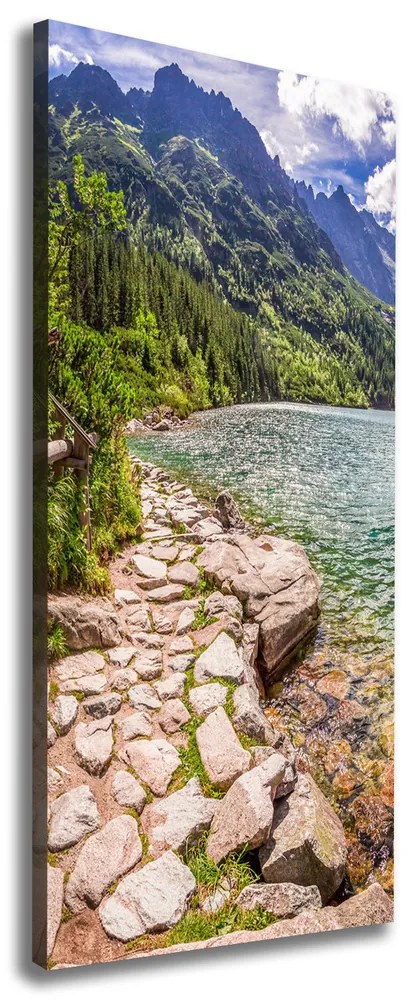 Pictură pe pânză Marine ochi Tatry