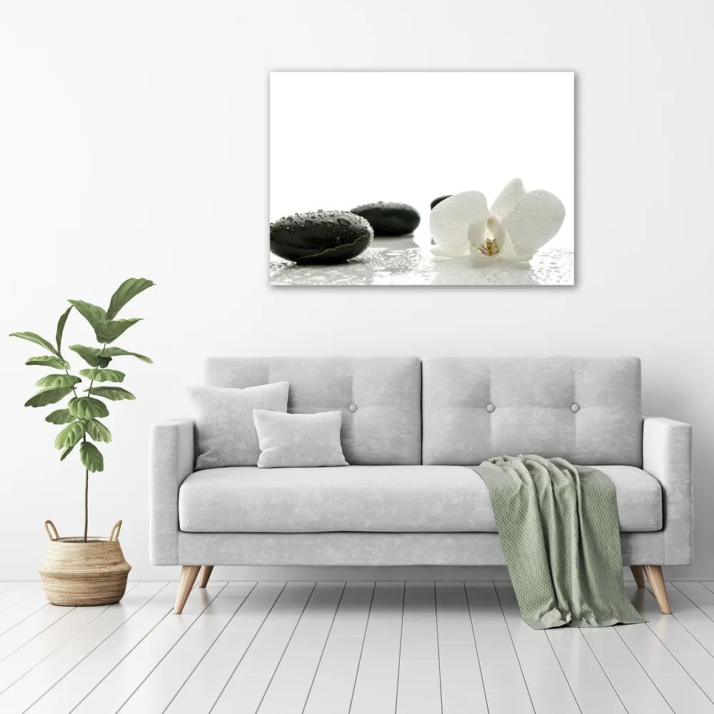 Tablou pe pânză canvas Orhidee