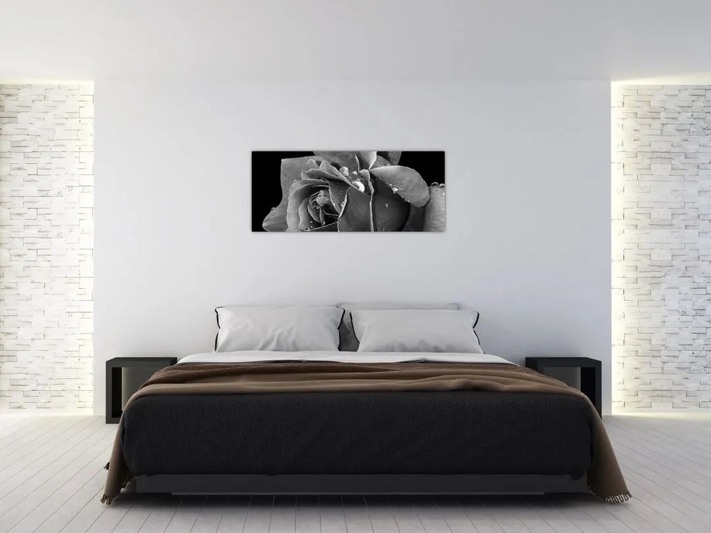 Tablou cu trandafir - albneagră (120x50 cm)