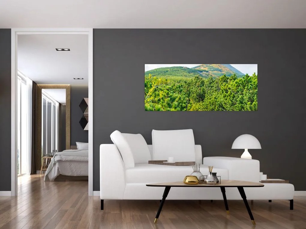 Tablou - Babi Hora, Polonia (120x50 cm)