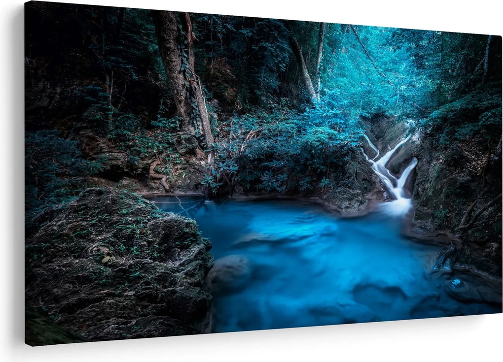 Tablou - Noaptea magică în pădurea tropicală (90x60 cm)