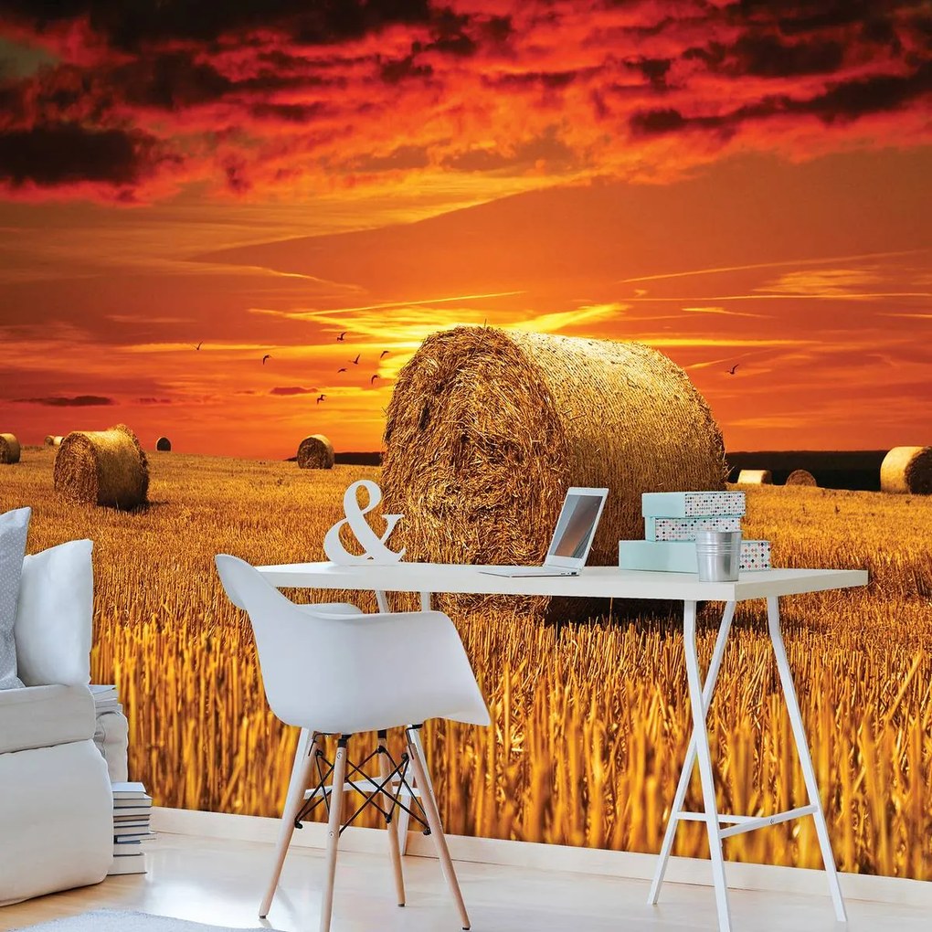 Fototapet - Câmp (152,5x104 cm)
