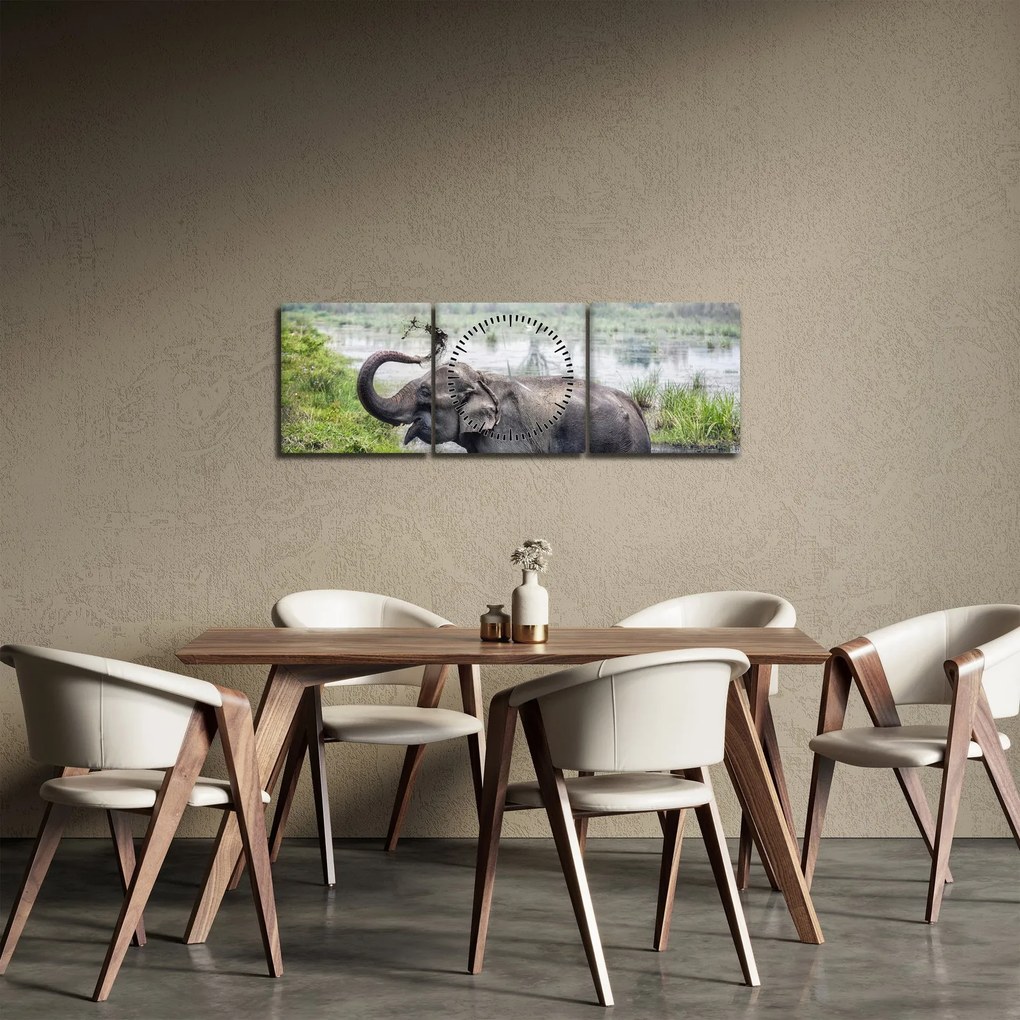 Tablou - Elefant de scăldat (cu ceas) (90x30 cm)