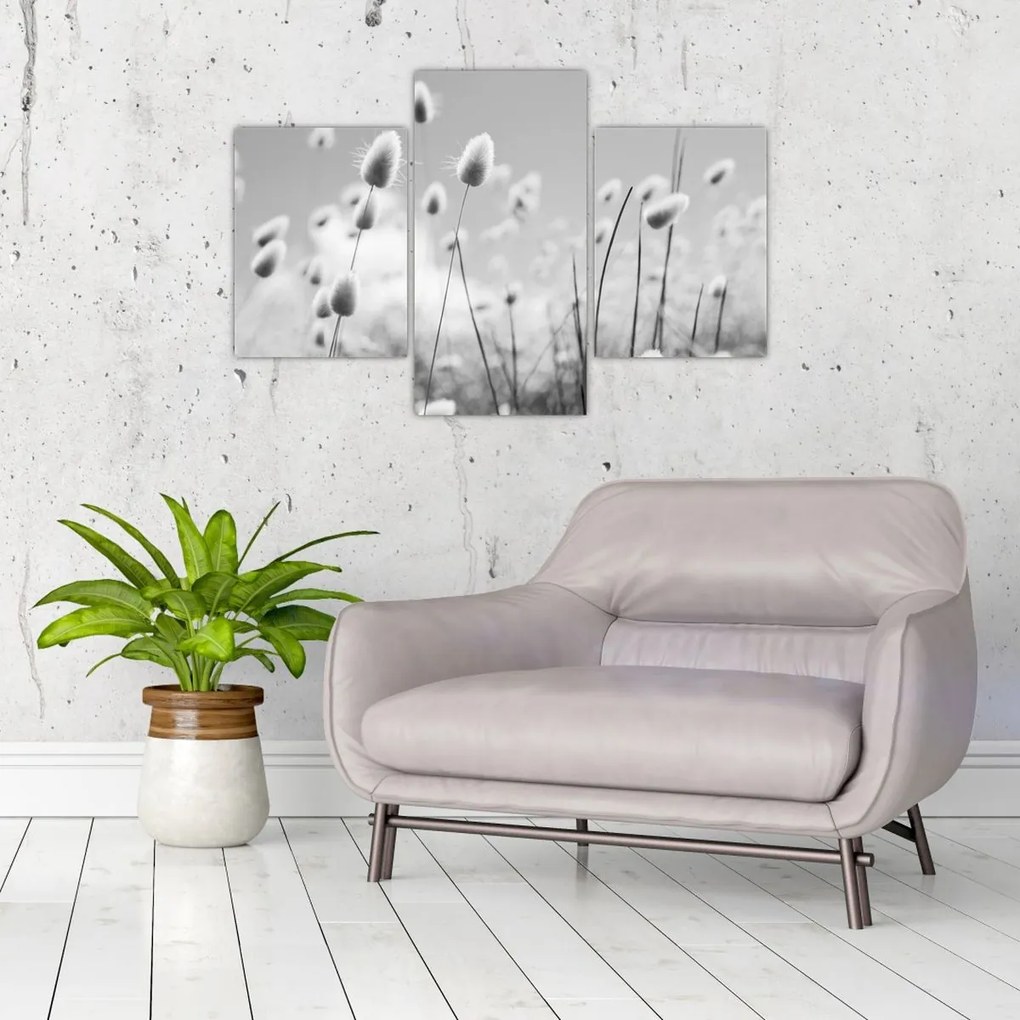 Tablou - Boho iepuraș coadă de iarbă (90x60 cm)