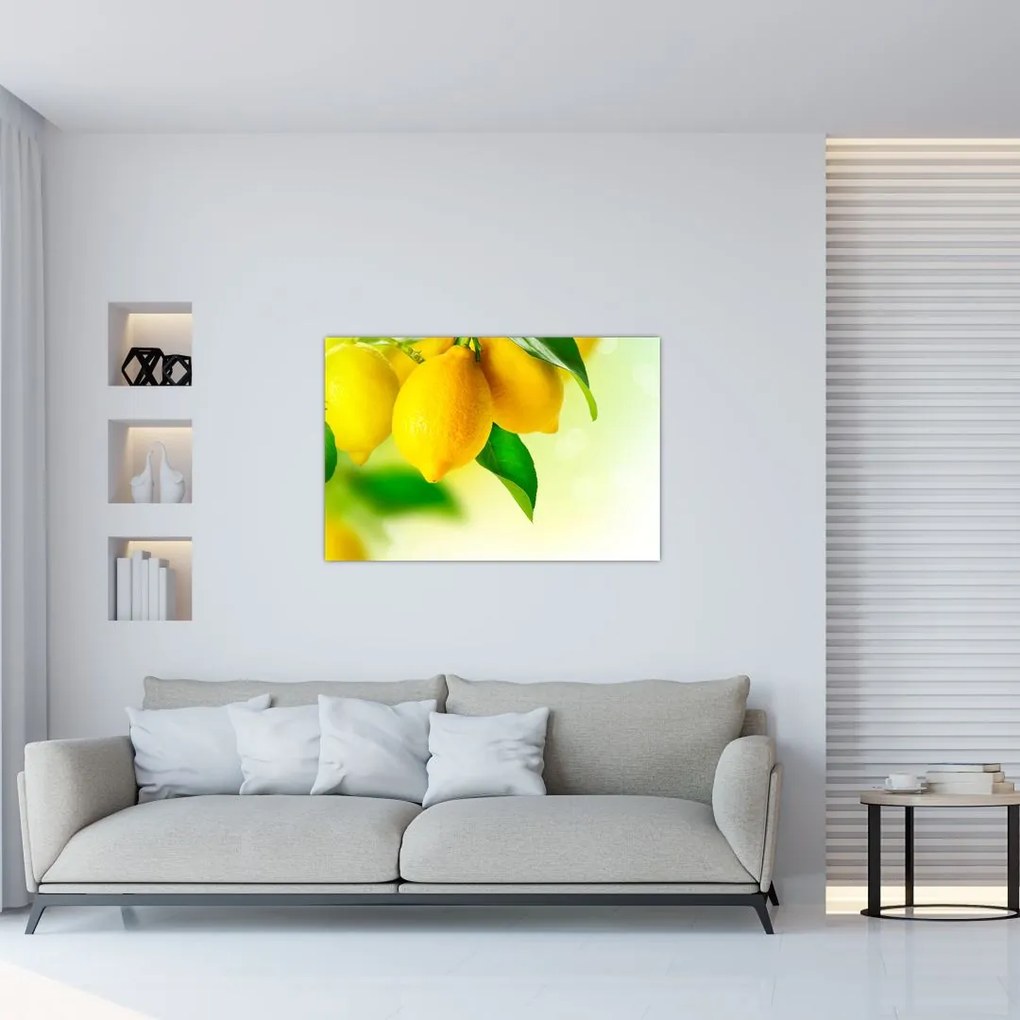 Tablou cu lămâi (90x60 cm)