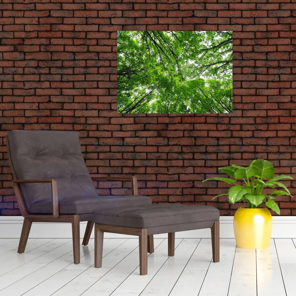 Tablou - privire în coroanele pomilor (70x50 cm)