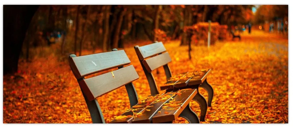 Tablou cu banca toamna (120x50 cm)