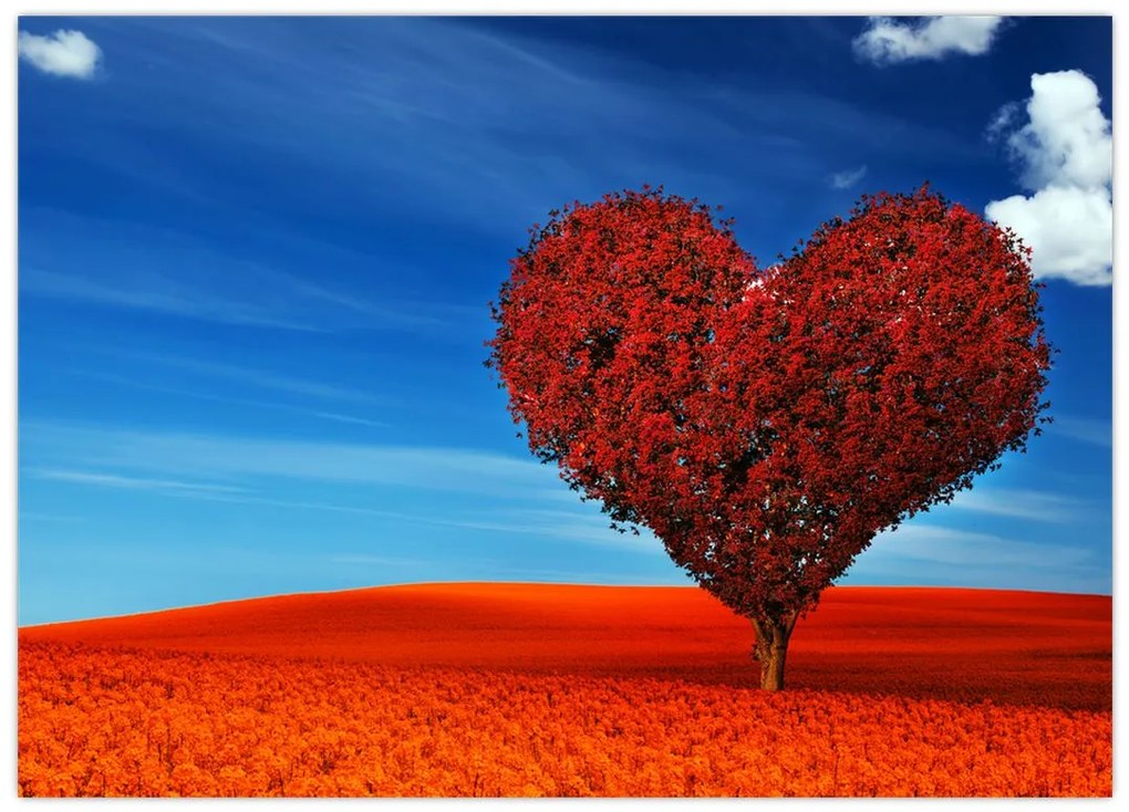 Tablou pe sticlă - Inimă din copac (70x50 cm)