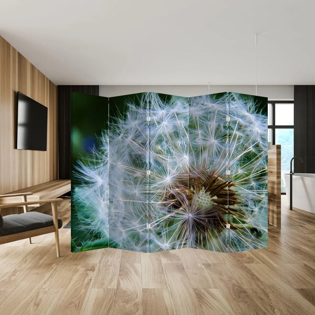 Paravan - păpădie desflorită (210x170 cm)