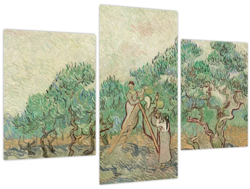 Tablou - Vincent van Gogh, The Olive Orchard, reproducere (90x60 cm)