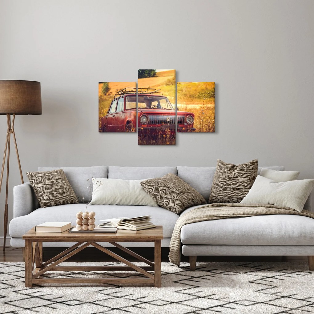 Tablou cu mașină în câmp (90x60 cm)