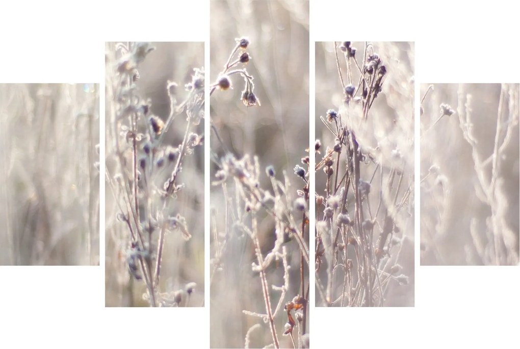 Tablou - Plante (150x105 cm)
