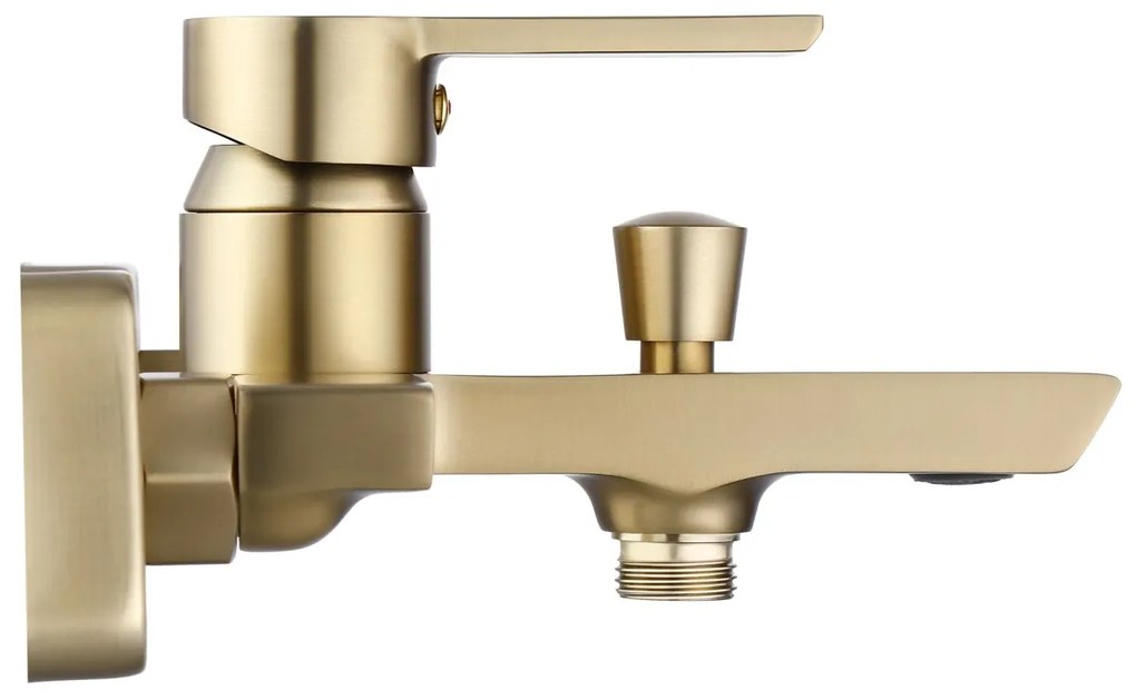 Baterie cadă REA ARGUS GOLD BRUSH