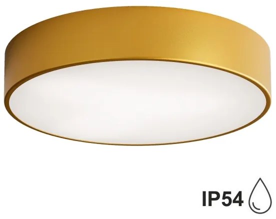 Plafonieră pentru baie Brilagi CLARE 2xE27/24W/230V d. 40 cm IP54 auriu