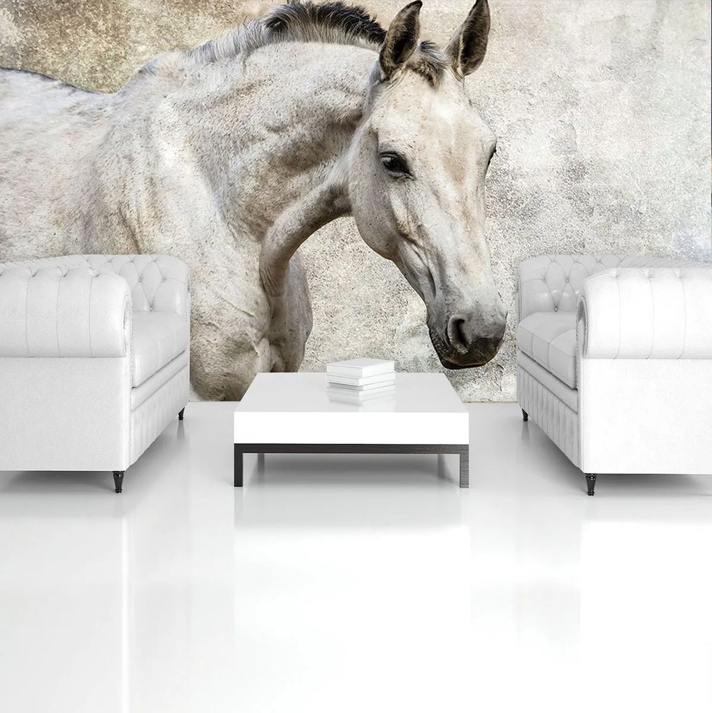 Fototapet - Cal (152,5x104 cm)