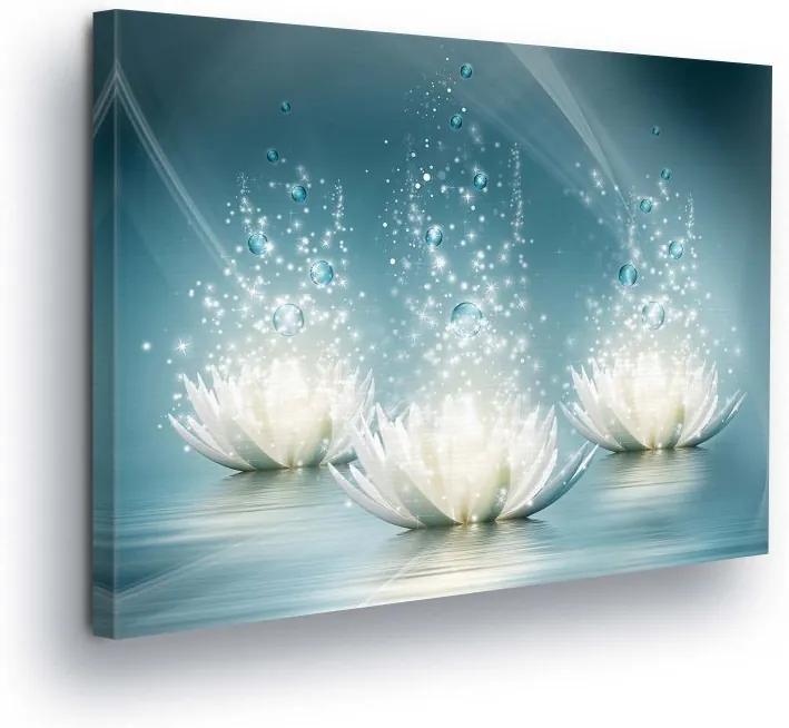 GLIX Tablou - Diamond Water Lilies II 80x60 cm