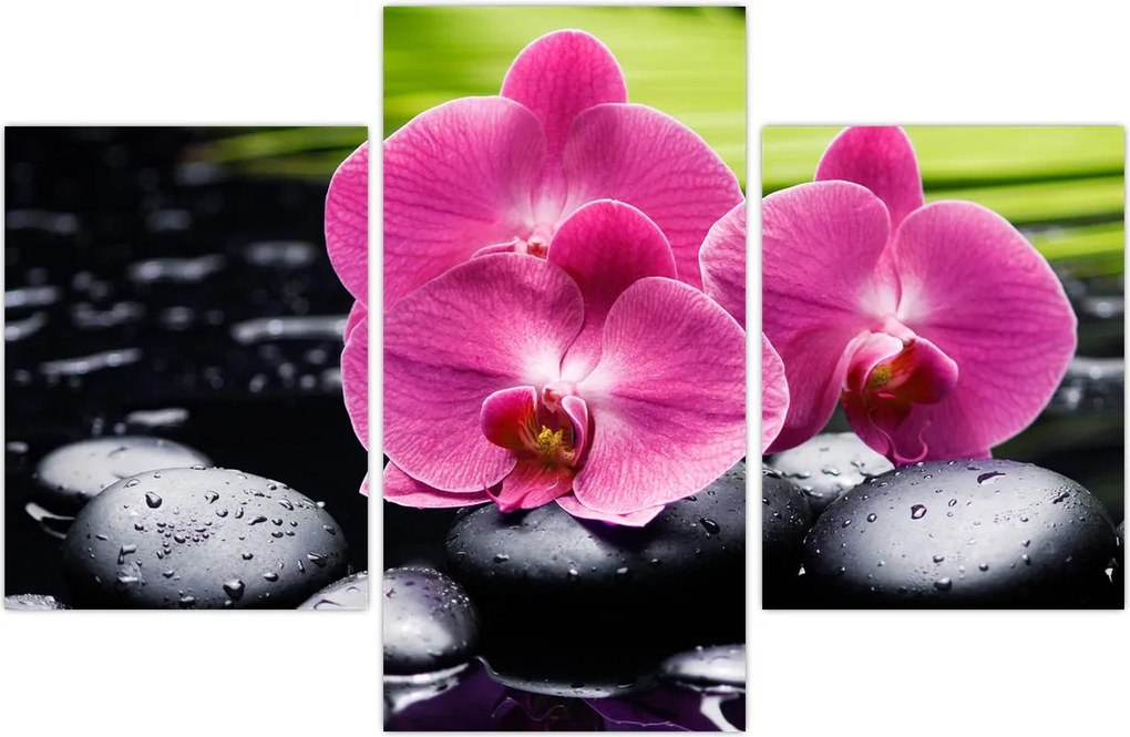 Tablou - Orhidee roz cu frunze de palmier (90x60 cm)