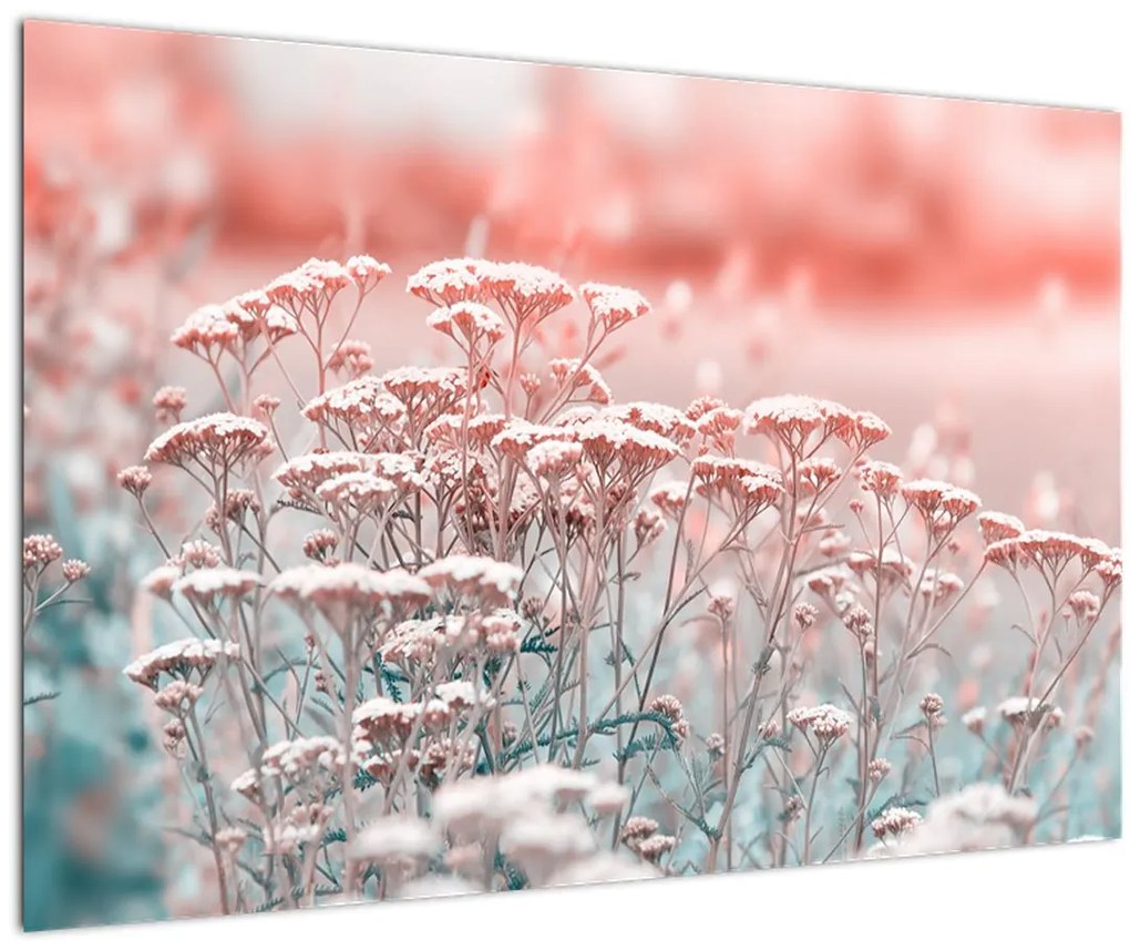 Tablou - Flori de câmp (90x60 cm)