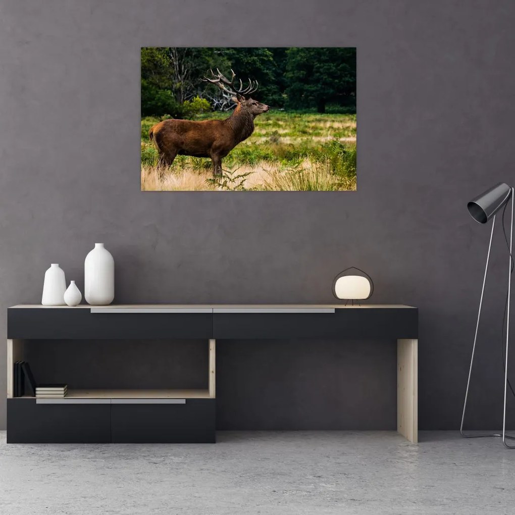 Tablou cu cerb (90x60 cm)