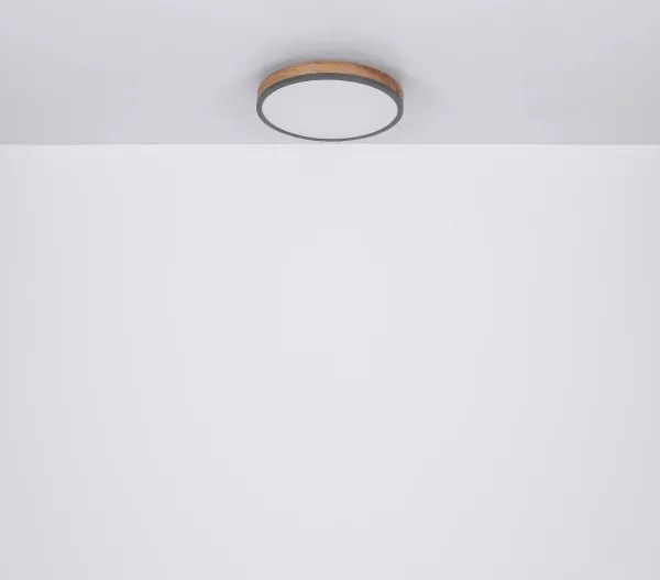 Globo 416080WD2R-CCT-LED Plafonieră DORO dimabilă 24W/230V 2700-6500K Ø 45 cm