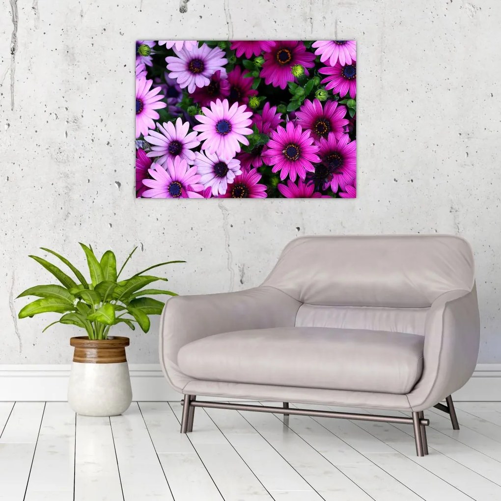 Tablou - Flori (70x50 cm)