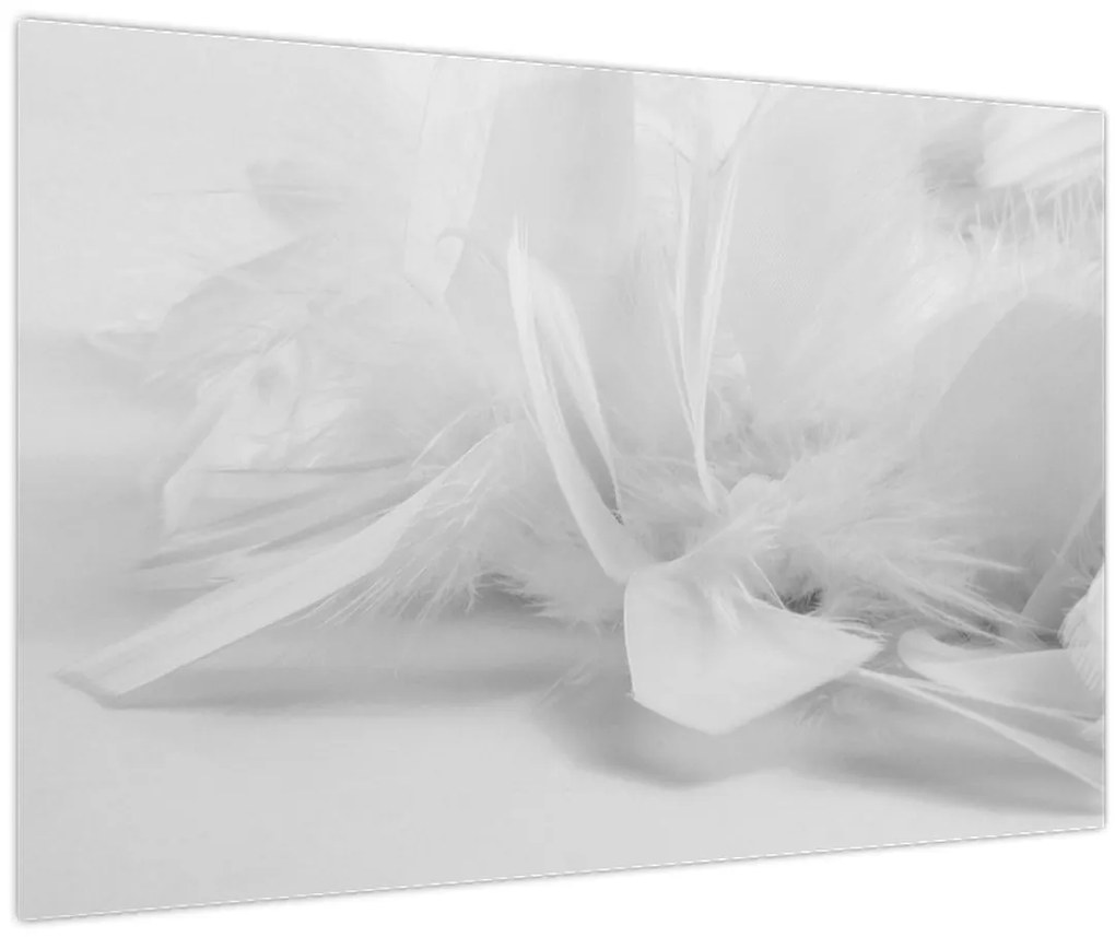 Tablou - Pene (90x60 cm)