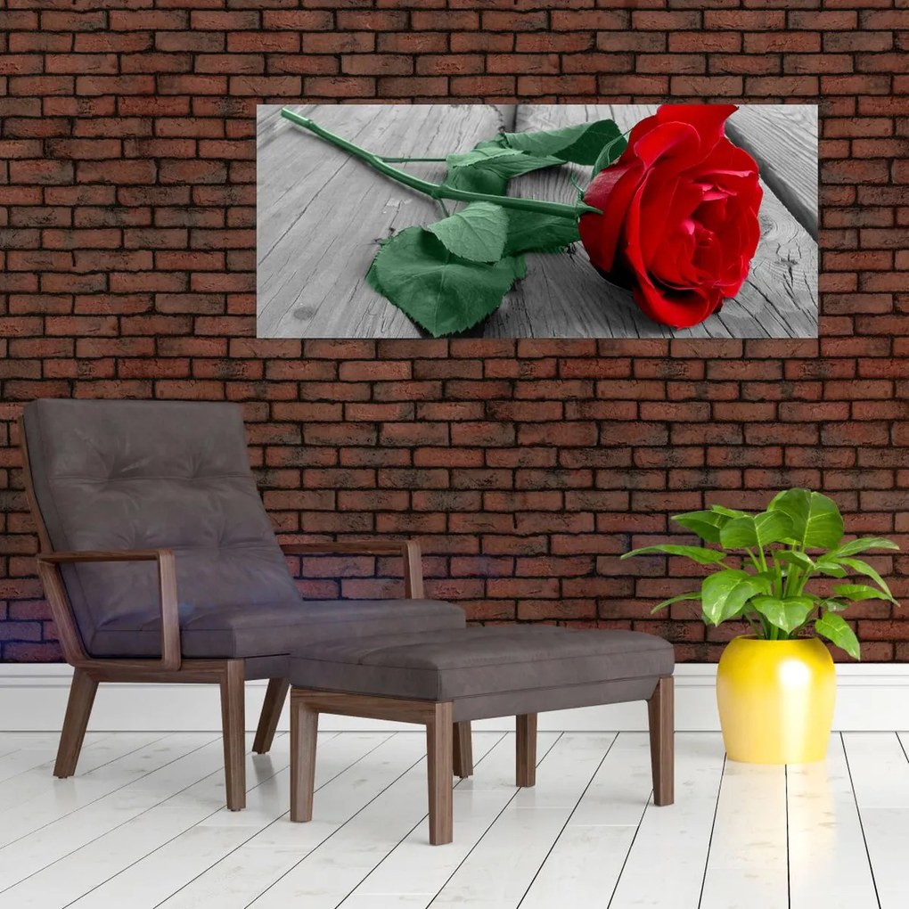 Tablou - Trandafir roșu cu tulpină verde (120x50 cm)