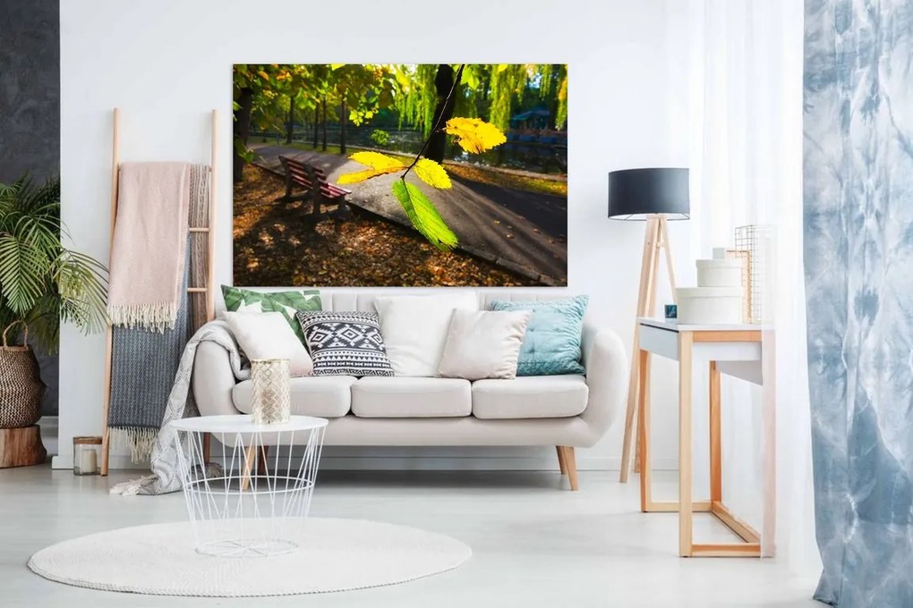 Tablou Peisaj parc printre frunze - 40x30 cm